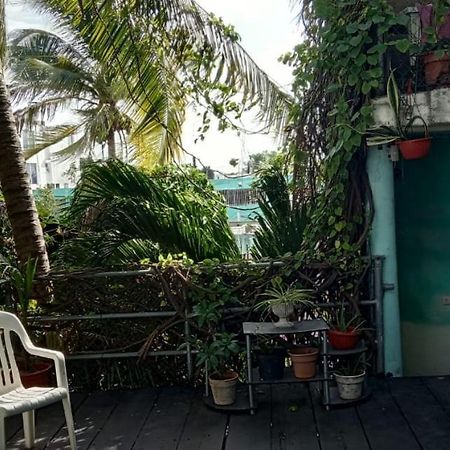 Posada Marpez 坎昆 外观 照片